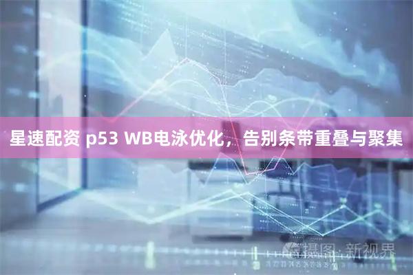 星速配资 p53 WB电泳优化，告别条带重叠与聚集